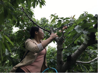 60a35cfee3075.png image.png