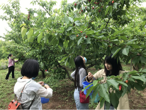 60a35d2a81ab5.png image.png